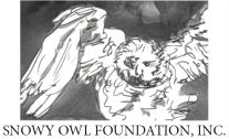 Snowy Owl 2023
