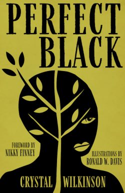 Crystal Wilkinson to Participate in the Kentucky Book Festival with “Perfect Black”