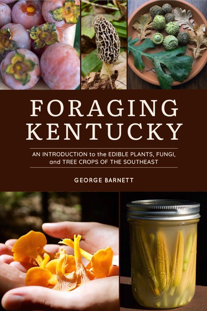 Foraging Kentucky