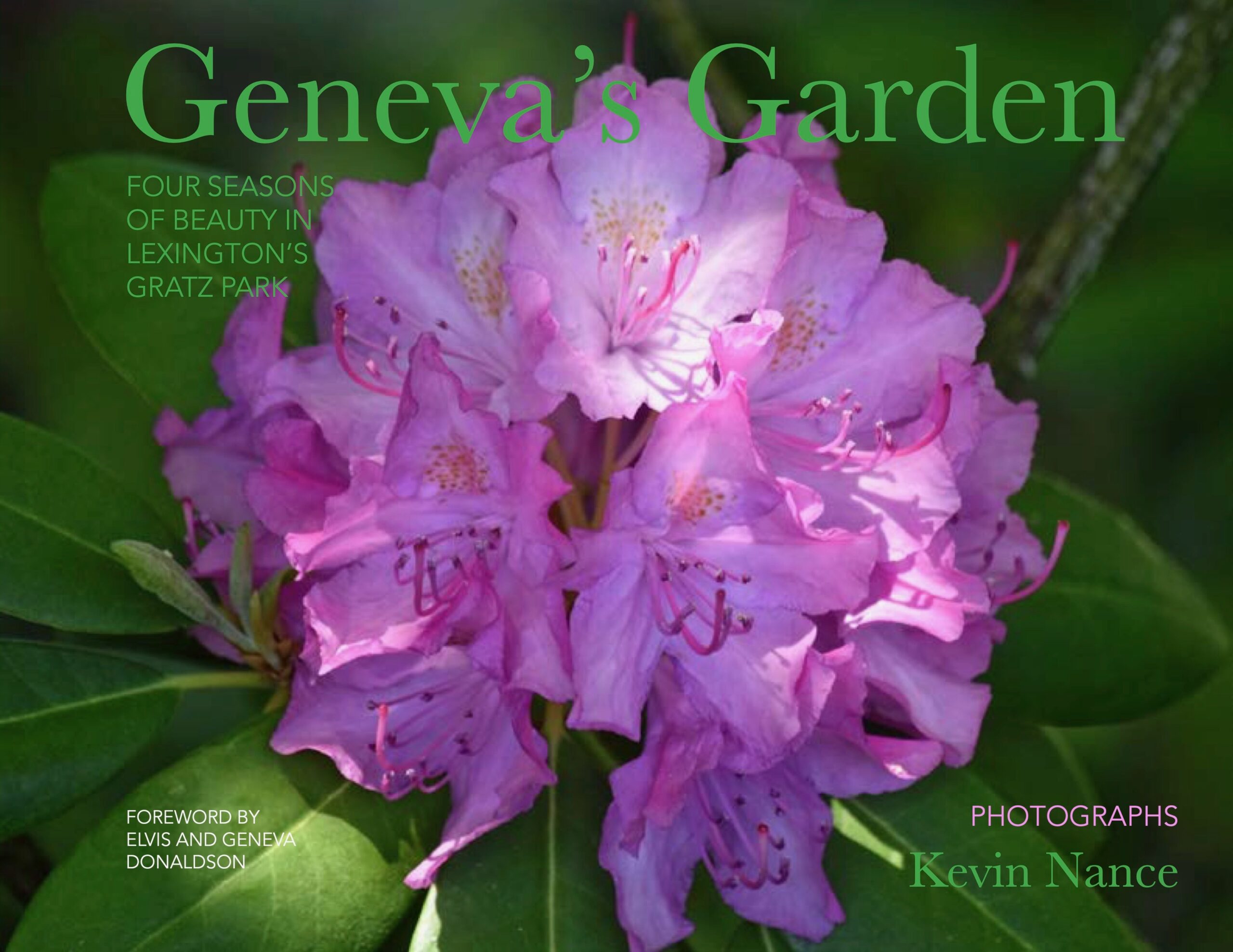 Geneva’s Garden: Four Seasons of Beauty in Lexington’s Gratz Park