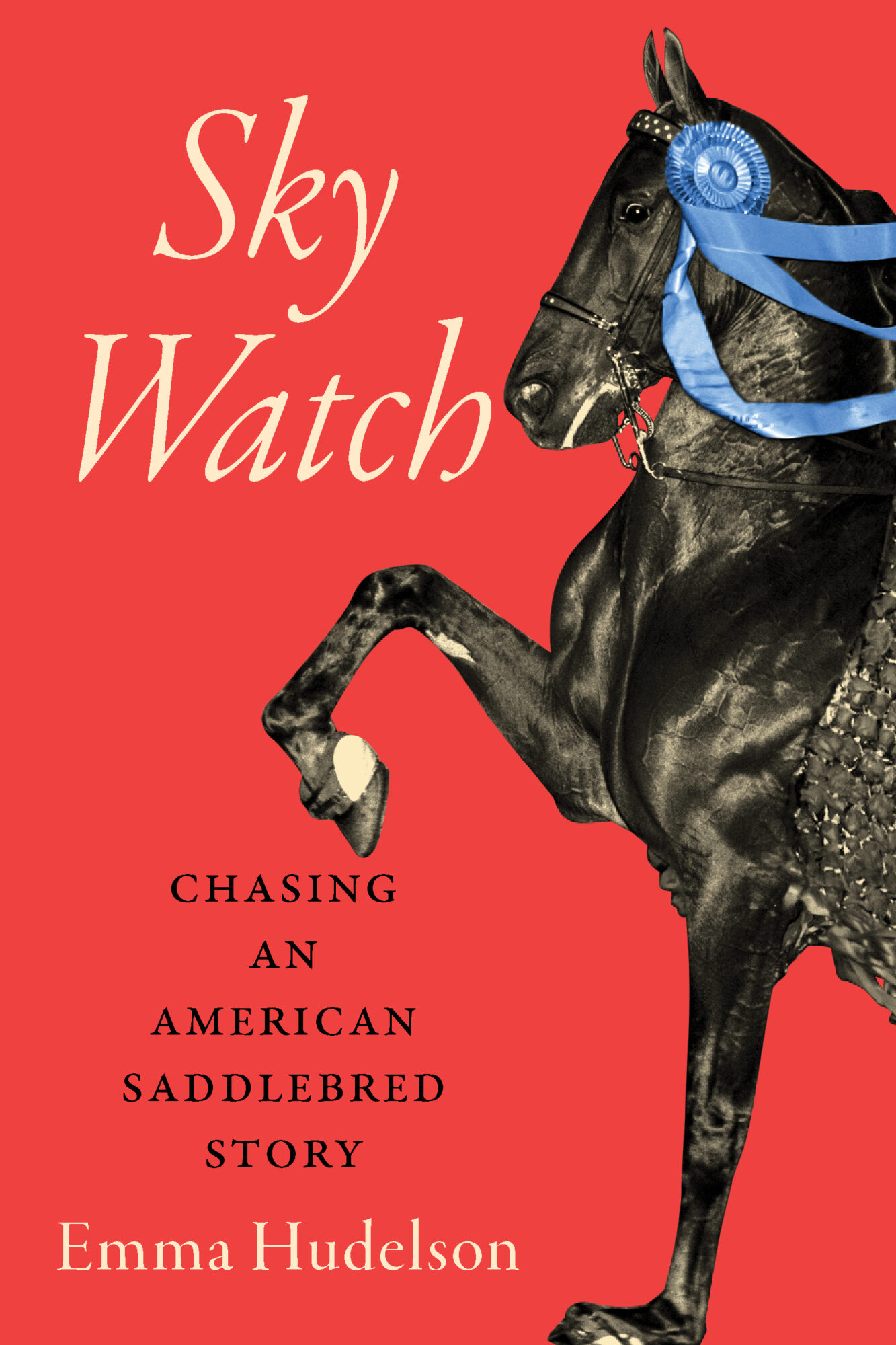 Sky Watch: Chasing an American Saddlebred Story