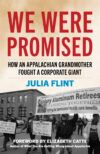 1325123017__180050313_Flint_Julia_cover Julia Flint