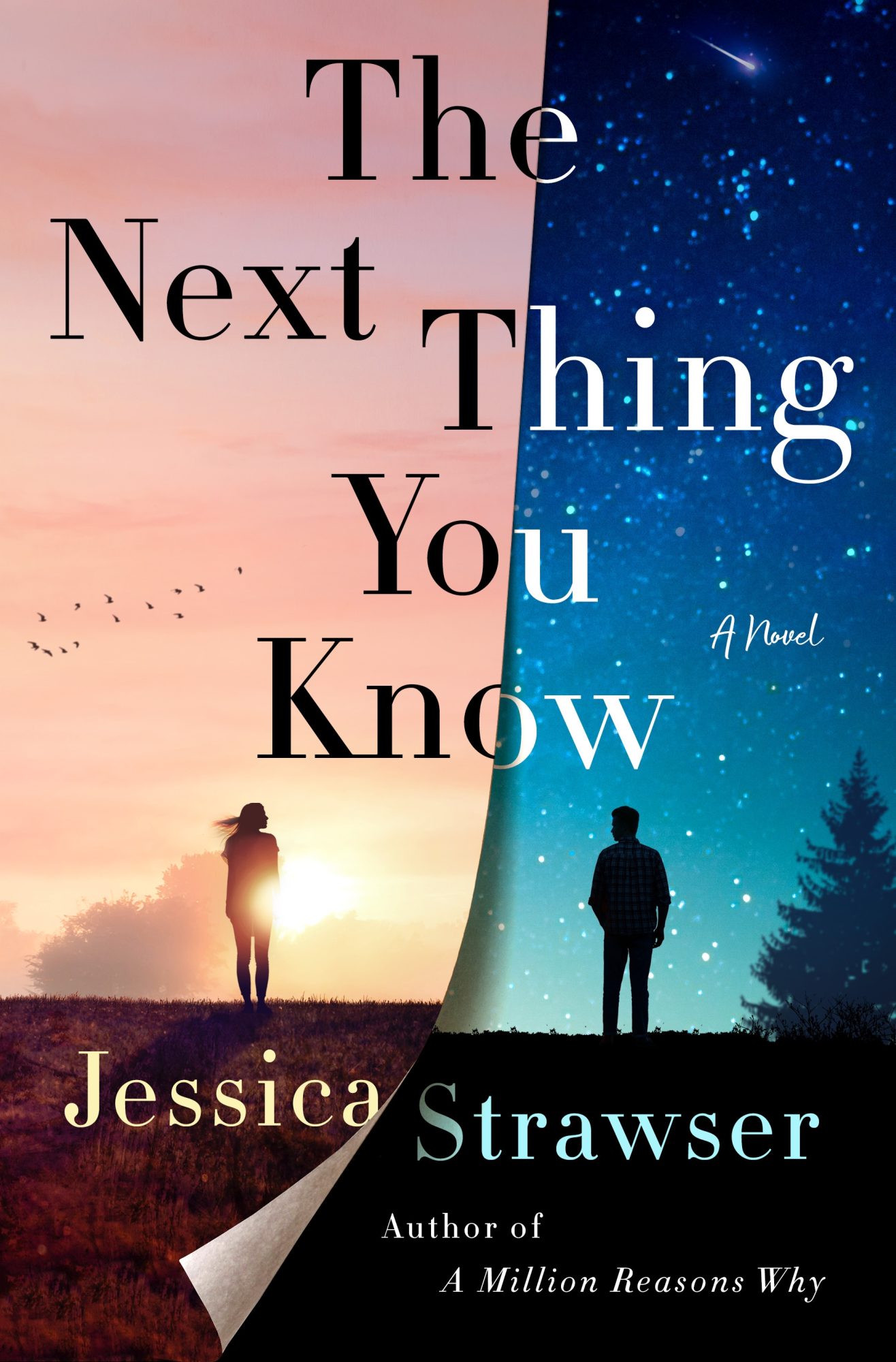 The Next Thing You Know: A Novel